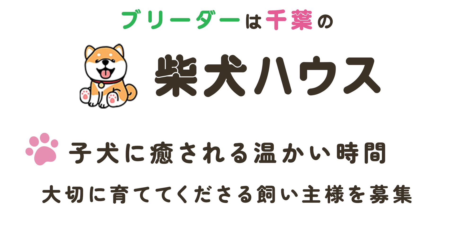 mv_catch